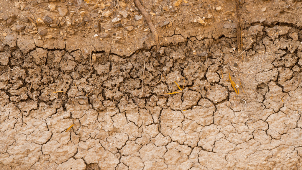 Surface imperméabilisation des sols