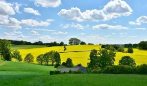 le calcul d’une surface espace vert, libre et pleine terre