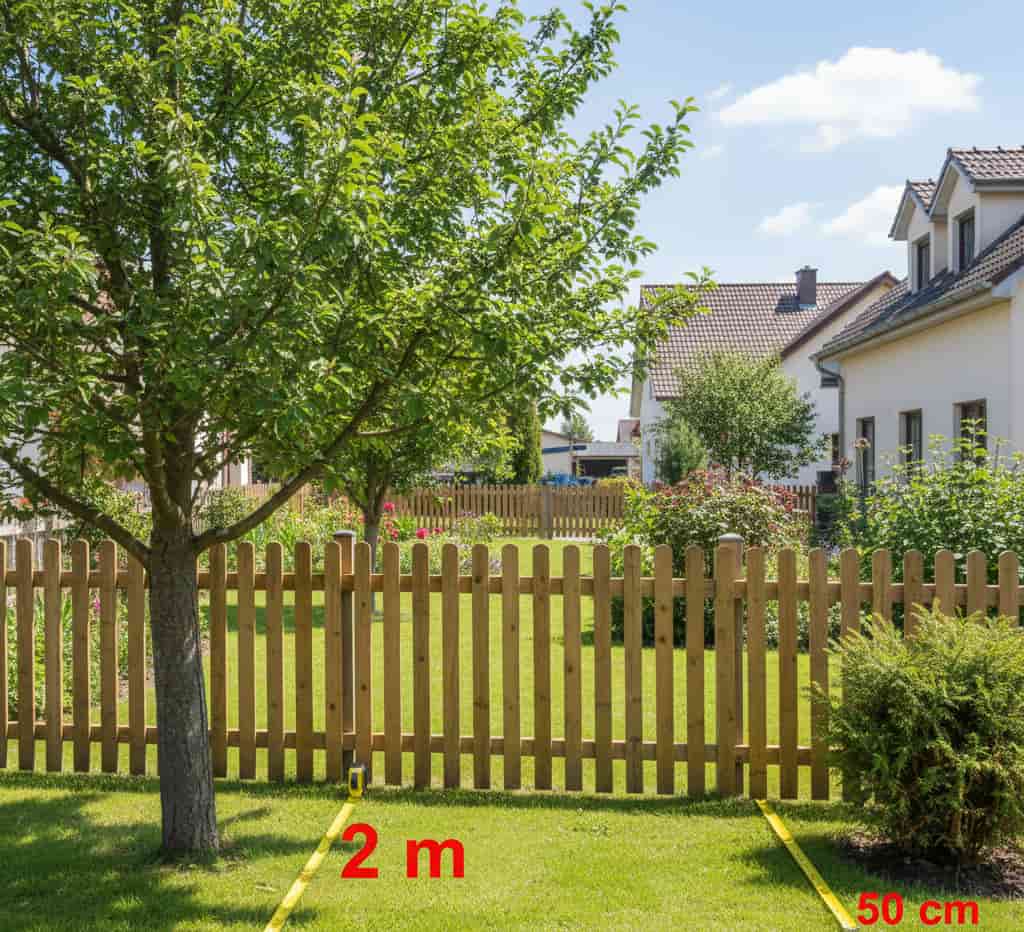 Jardin avec arbres plantés à distance légale de la limite de propriété selon le Code civil