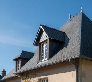 Chien-Assis : Définition, Autorisation et Installation