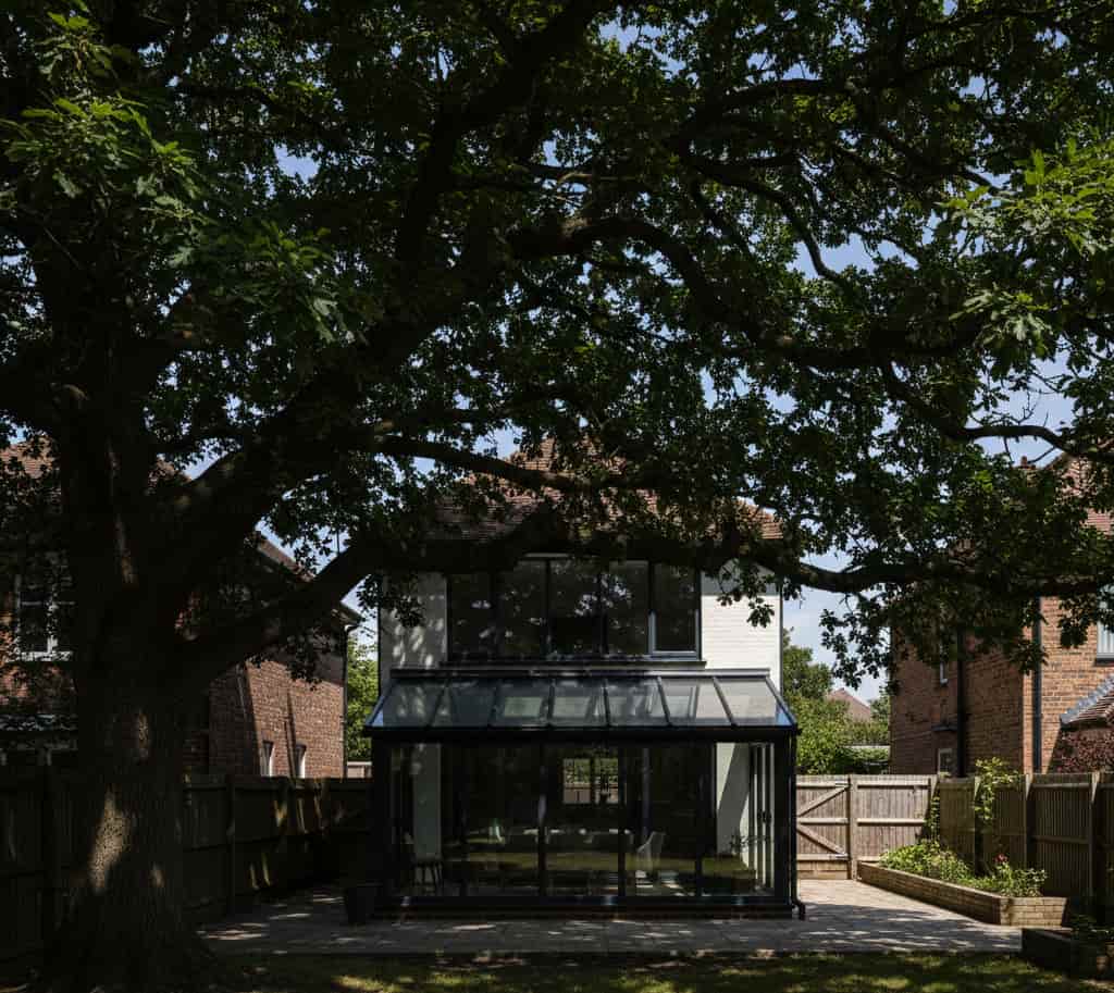 branches d'arbre du voisin créant une ombre importante sur une terrasse