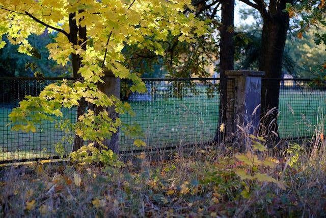 Clôture de jardin installée sans autorisation visible dans un quartier résidentiel, illustrant les règles générales de hauteur de clôture sans déclaration préalable