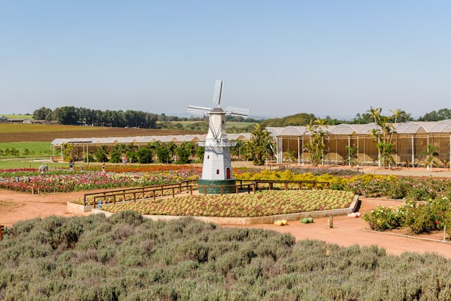 les Serres de Jardin