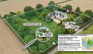 Abattage d&rsquo;arbres en EBC : déclaration préalable selon R421-23 g